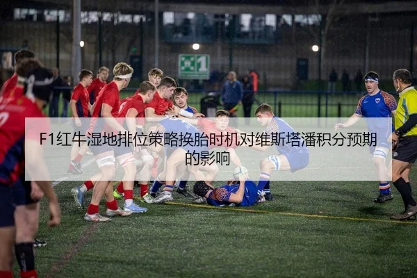 F1红牛湿地排位策略换胎时机对维斯塔潘积分预期的影响